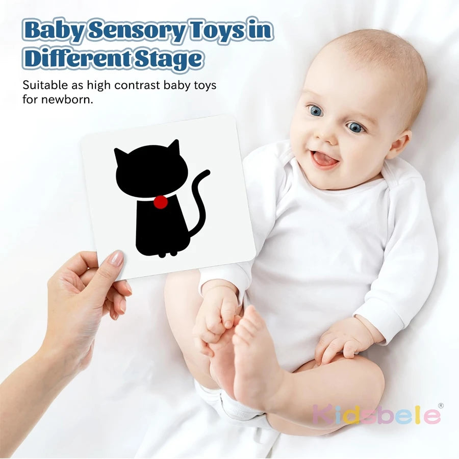 Baby Visual Stimulation Cards High Contrast Flashcards for Newborns 0–36 Months | Infant Sensory Toys Early Learning Toy